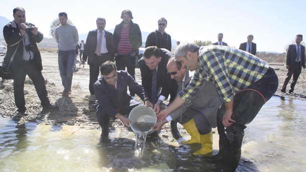 Beyşehir Gölü'ne 80 bin sazan yavrusu bırakıldı