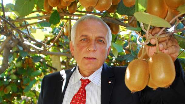 Yalova, Türkiye'nin kivi merkezi