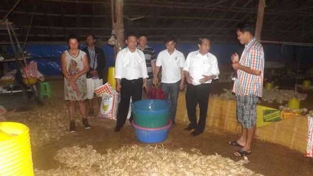 Filipinler'in merkezindeki 6 adada etkili olan Haiyan Tayfun'unda çok sayıda can ve mal kaybının yaşanması üzerine, Başbakanlık AFAD tarafından bölgeye insani yardım malzemesi gönderiliyor.
