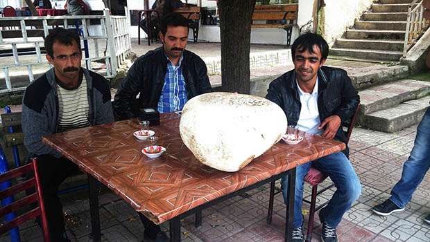 Bayramören ilçesinde bir vatandaş tarafından bulunan 8 kilogramlık mantar, vatandaşlardan büyük ilgi gördü.