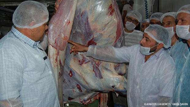 Yaklaşan Kurban Bayramı öncesi "acemi kasap"ları kazalardan korumak için açılan uygulamalı kasaplık kursları ilgi görüyor.