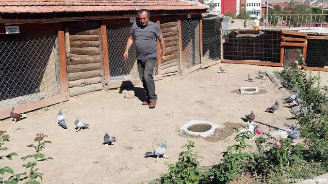 sarkisla-da-hayvanat-bahcesi-gibi-restoran.jpg