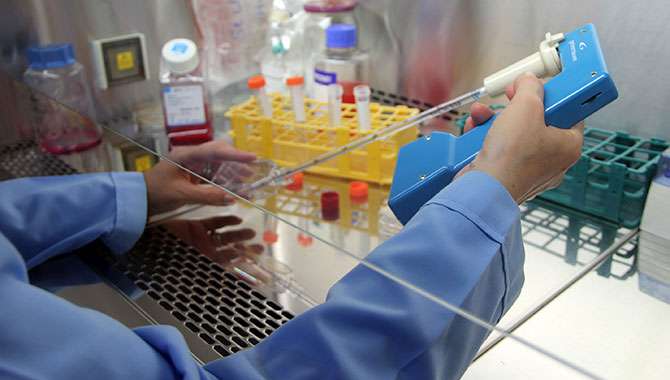 araştırma, bilim, tıp, kanser, yaşlanma, protein, keşif