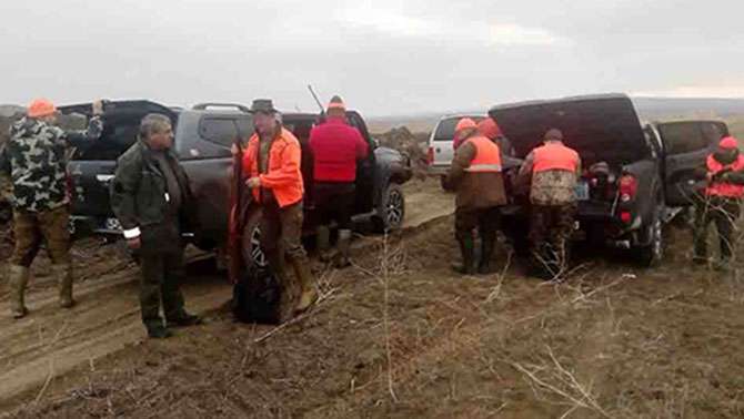 av, avcı, domuz, Türkiye, İsveç, Çankırı
