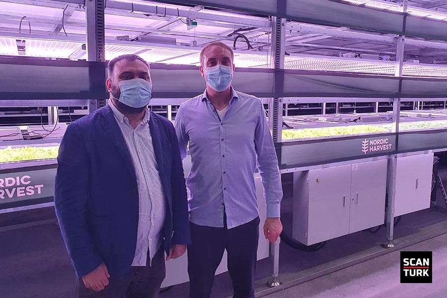 Danimarka’da 14 katlı “dikey tarla” ile yılda 15 defa hasat yapılacak