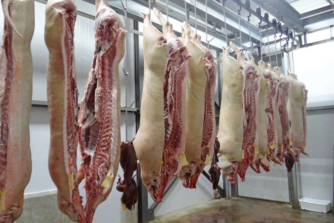 Danish Crown, Ringsted’deki mezbahayı kapatıyor